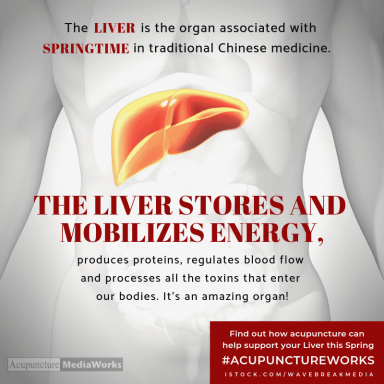 Acupuncture for Liver Detoxification Complete Oriental Medical Care