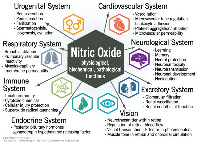 acupuncture enhances nitric oxide generation
