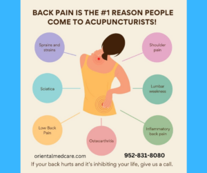 Infographic from Complete Oriental Medical Care in Edina showing common back pain conditions treated with acupuncture, including sciatica, osteoarthritis, and shoulder pain.
